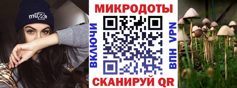 Псилоцибиновые грибы Cubensis купить Гаврилов Посад
