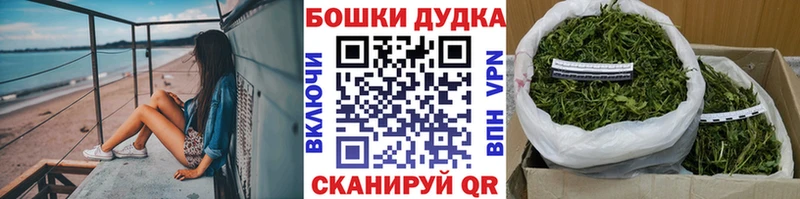 блэк спрут как войти  Гаврилов Посад  нарко площадка какой сайт  продажа наркотиков  Каннабис Bruce Banner 